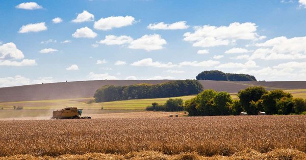 agriculture.jpg