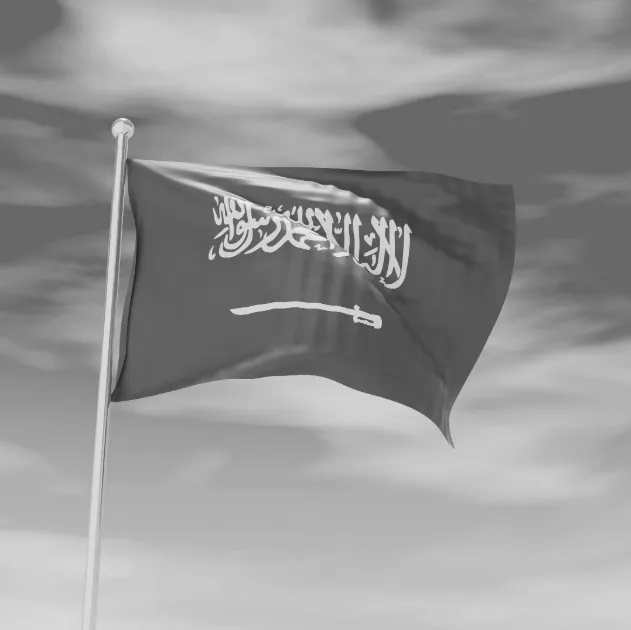 An image of the Saudi Arabian flag