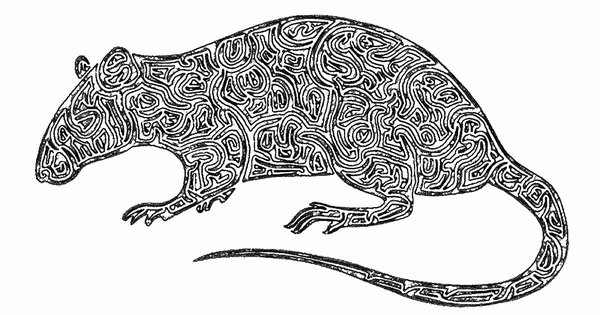 big-rat.jpg