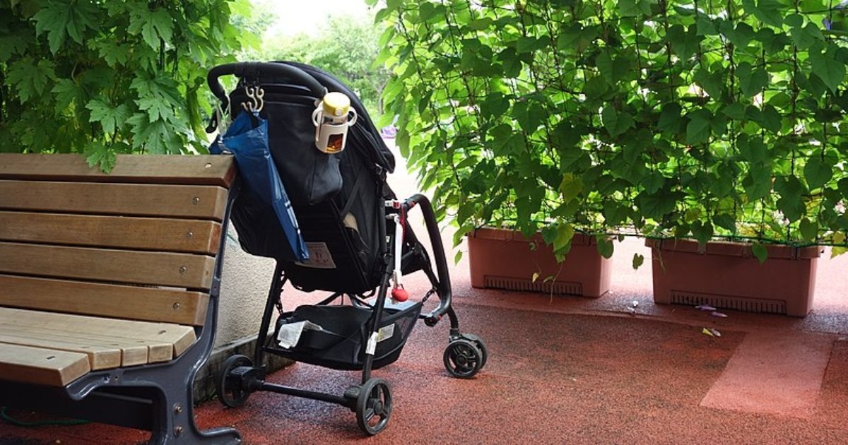 stroller travel bag Evenflo Shyft DualRide Padded Travel Bag main image 1