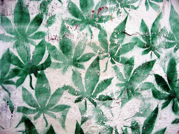 ff-wp-files/2015/02/cannabis.jpg