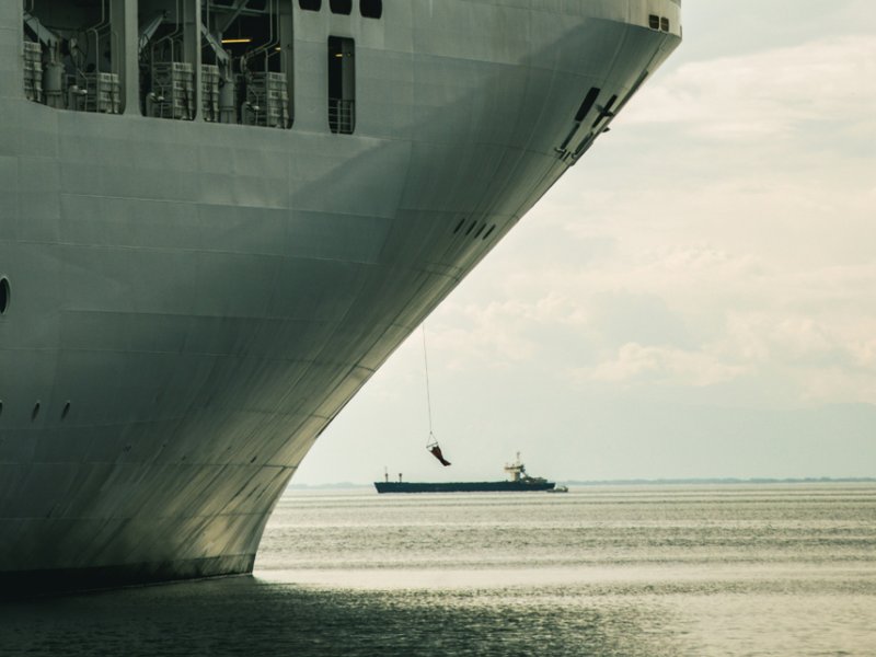 A picture of a real cruise liner.
