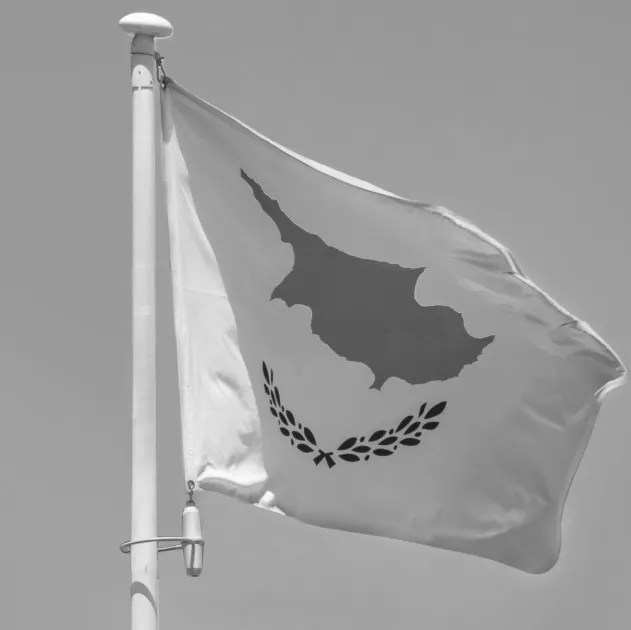 The flag of Cyprus