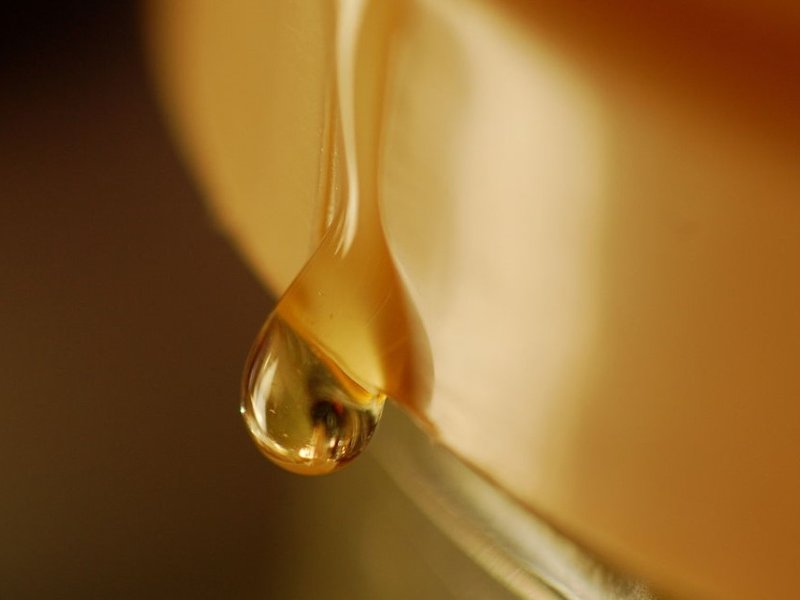 drop_of_honey_2231021824.jpg