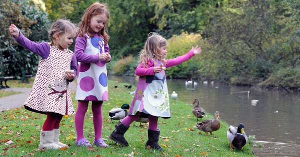 ducks.jpg