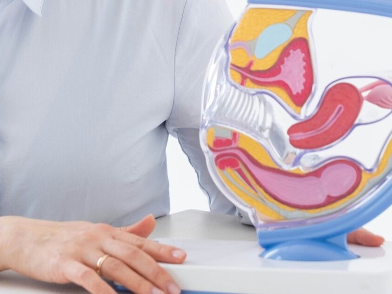 Image of a woman sitting at a desk with a model of a pelvis.