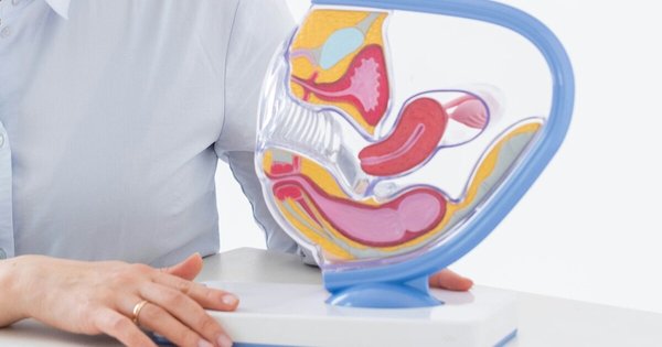 Image of a woman sitting at a desk with a model of a pelvis.