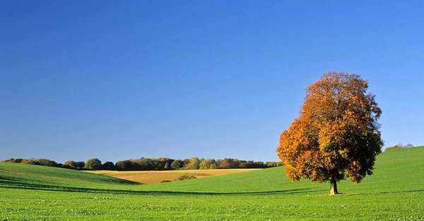 farm_photo_1200_x_630.jpg