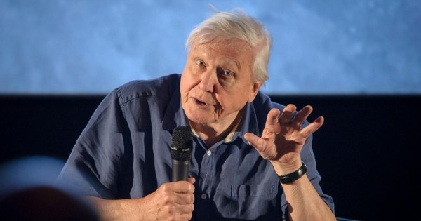 fb_attenborough.jpg
