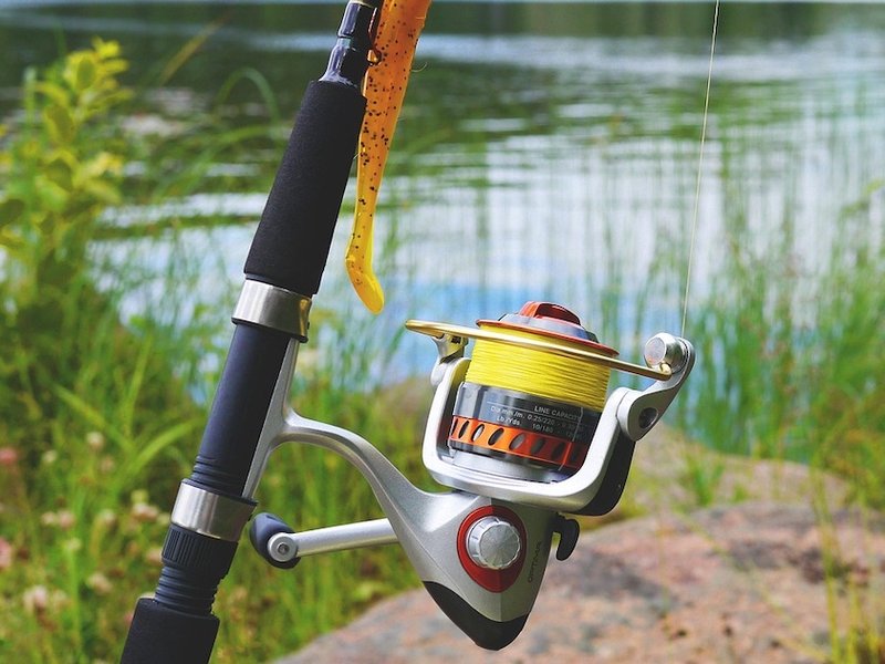 Bottom half of a fishing rod