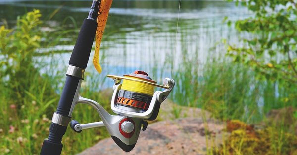 Bottom half of a fishing rod