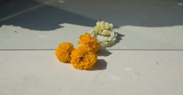 Flowers on a table