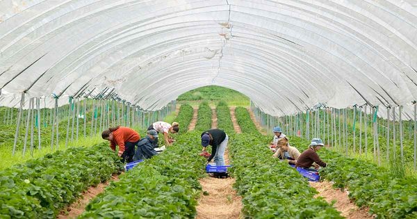 foreign-workers-faceook.jpg