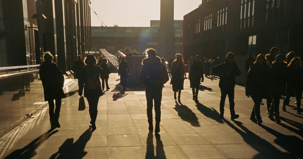 fotor_2023-3-24_15_37_49.png