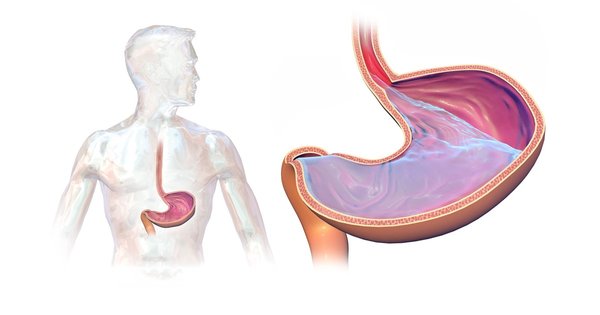 gastroesophageal_reflux_disease_(gerd).jpg