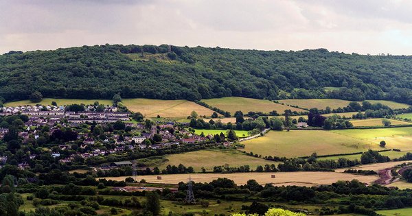 green-belt-pic.jpg