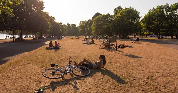 heatwave-image.jpg