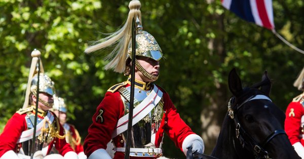 horse_guard_resized.jpg