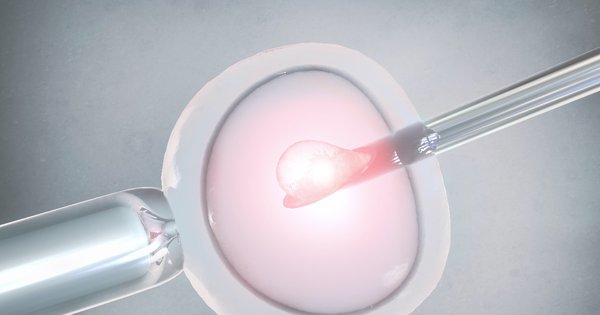 ivf.jpg