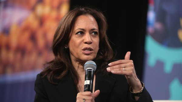 kamala_harris_gun_ownership_resized.jpg