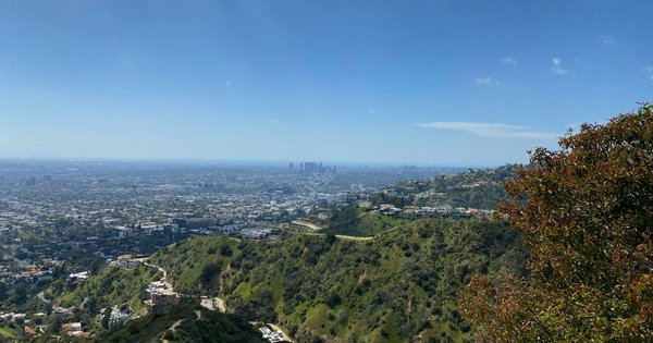 la_view_resized.jpg