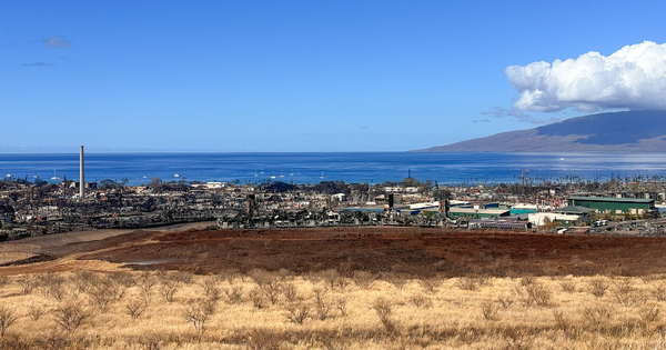 maui_community_of_lahaina_burned_by_wildfire_-_53119593264-fotor-20230831102632.png