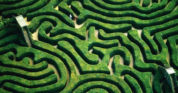 maze.jpg