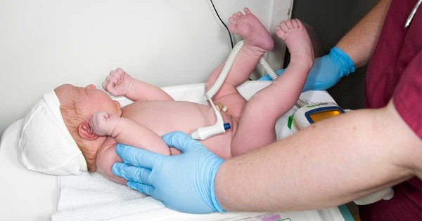 midwives_pmqs.jpg