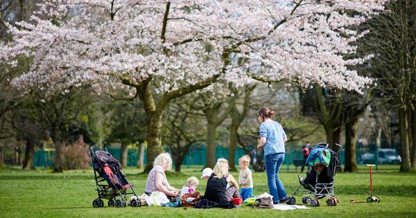 mums-park-1052019.jpg