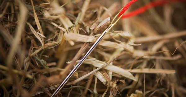 needle-in-haystack.jpg