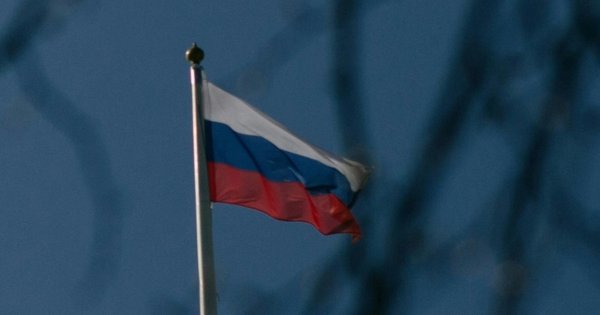 pexels-plato-terentev-3804555-9811488_1_1.jpg