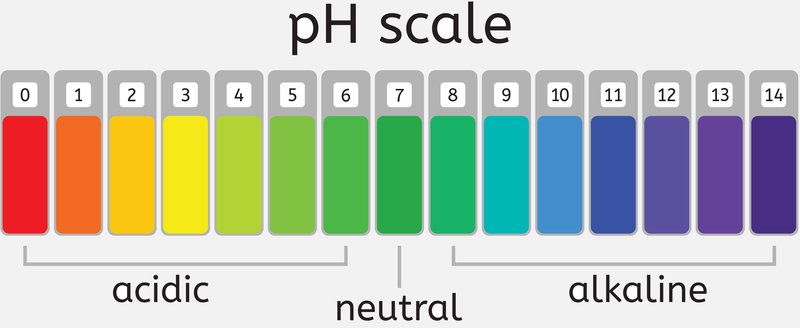ph_scale_OiuifqD.jpg