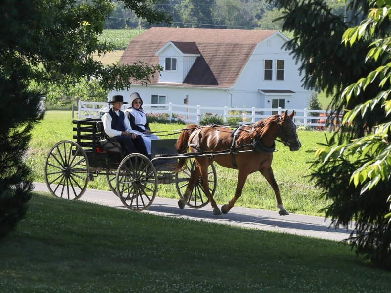 A man and woman in a horse and cart