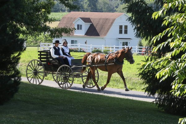 A man and woman in a horse and cart