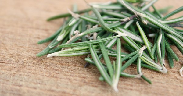 rosemary.jpg