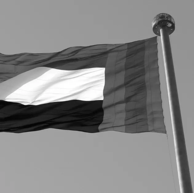 A photo of the United Arab Emirates flag