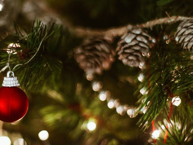 A picture of a red bauble on a Christmas tree.