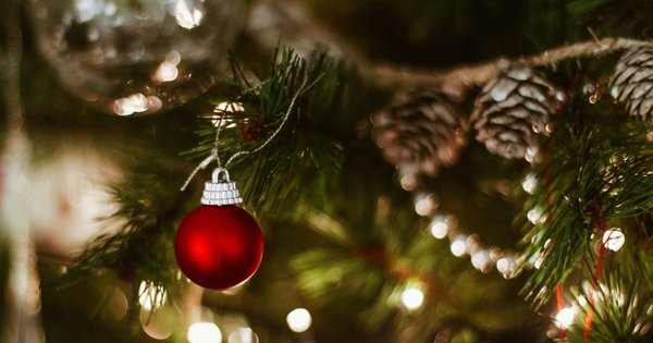 A picture of a red bauble on a Christmas tree.