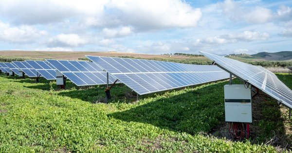 Rows of solar panels in a field