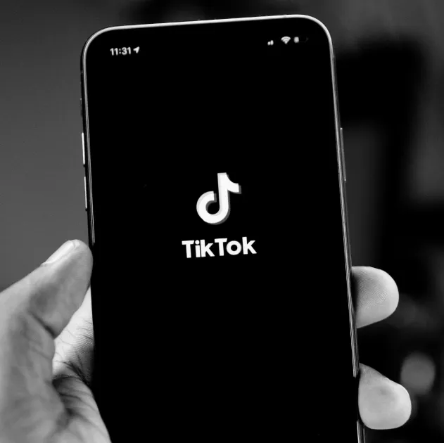 Person holding a mobile phone running TikTok.