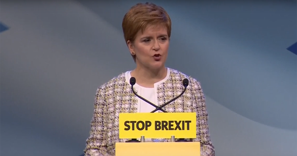 sturgeon.png