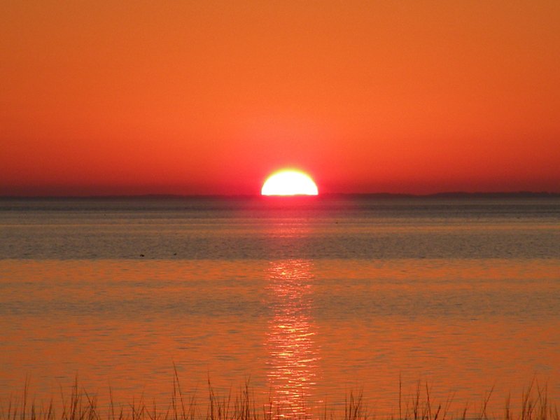 sunset_resized_image.jpg