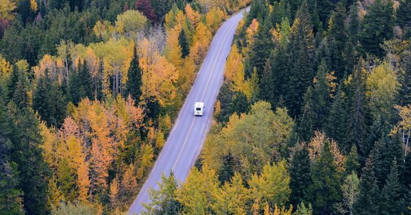 tim-gouw-mp8guvg2bmq-unsplash_(1).jpg