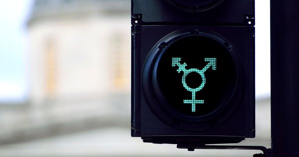 trans-survey.jpg