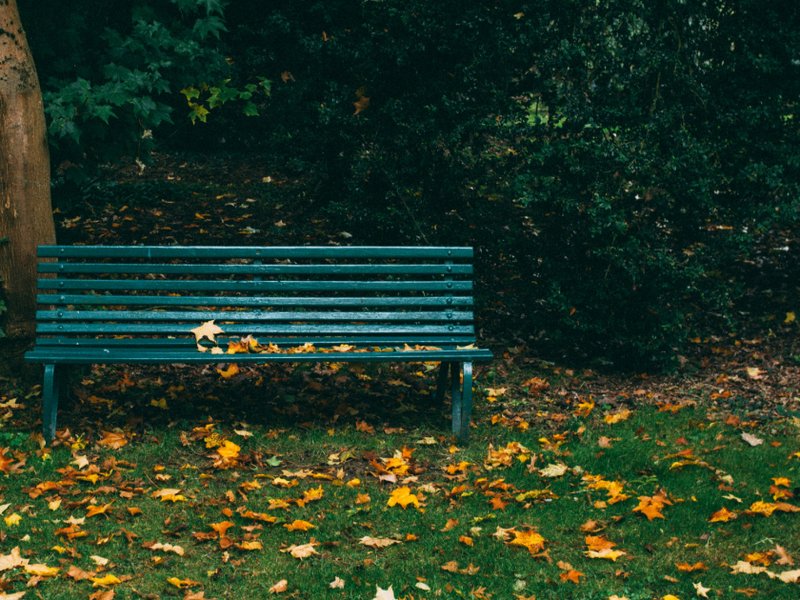 A park bench