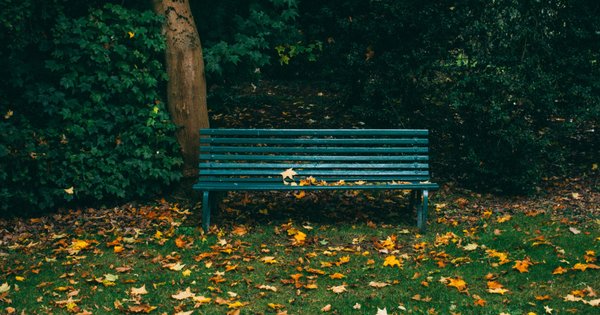 A park bench