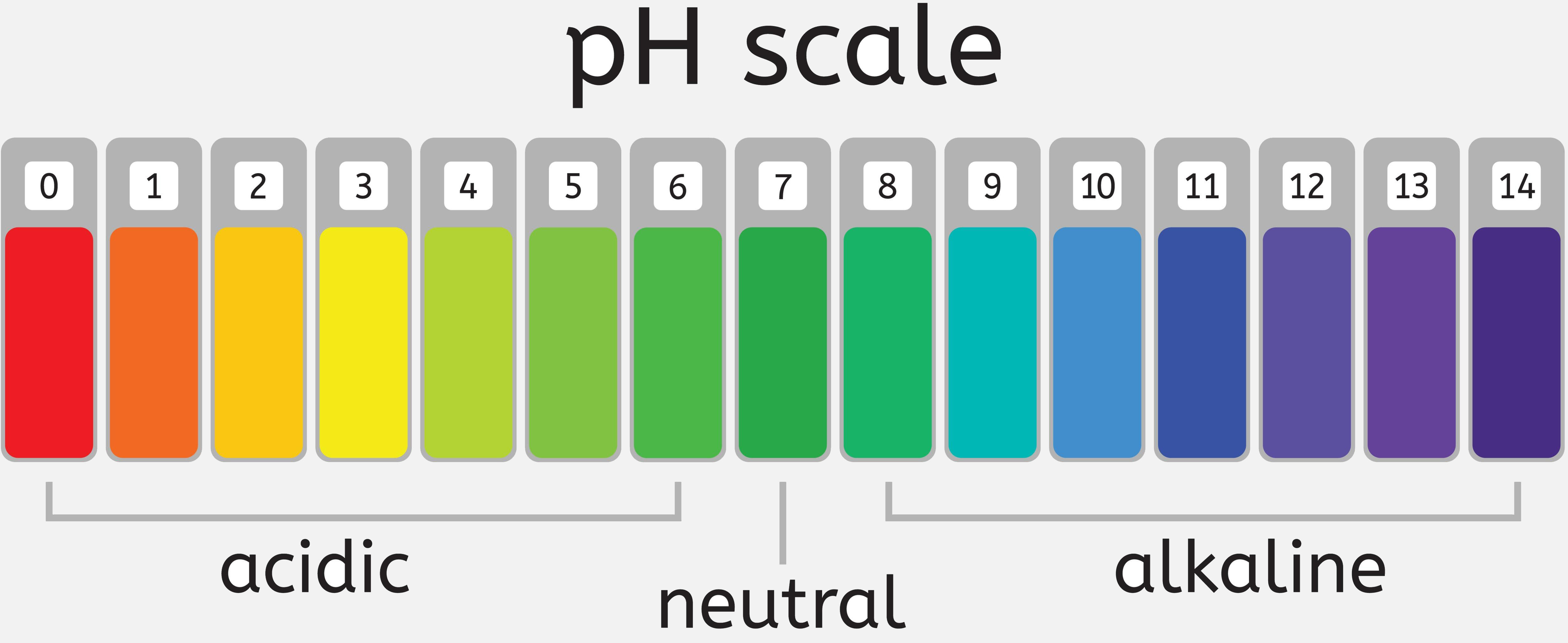 lume acidified body wash ph level